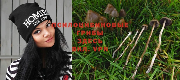 марихуана Вяземский