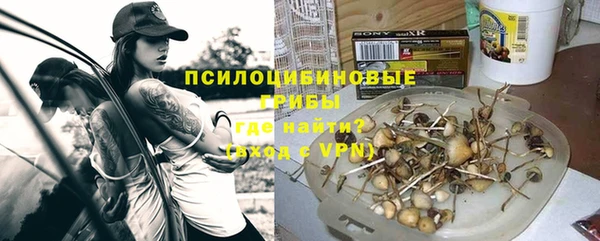 гидропоника Вязьма