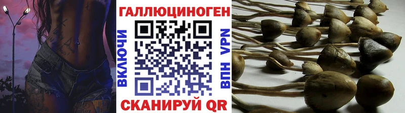 Купить закладки  Артём  Галлюциногенные грибы ЛСД 